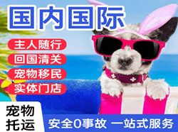 长乐空运代理国际宠物托运 【国
